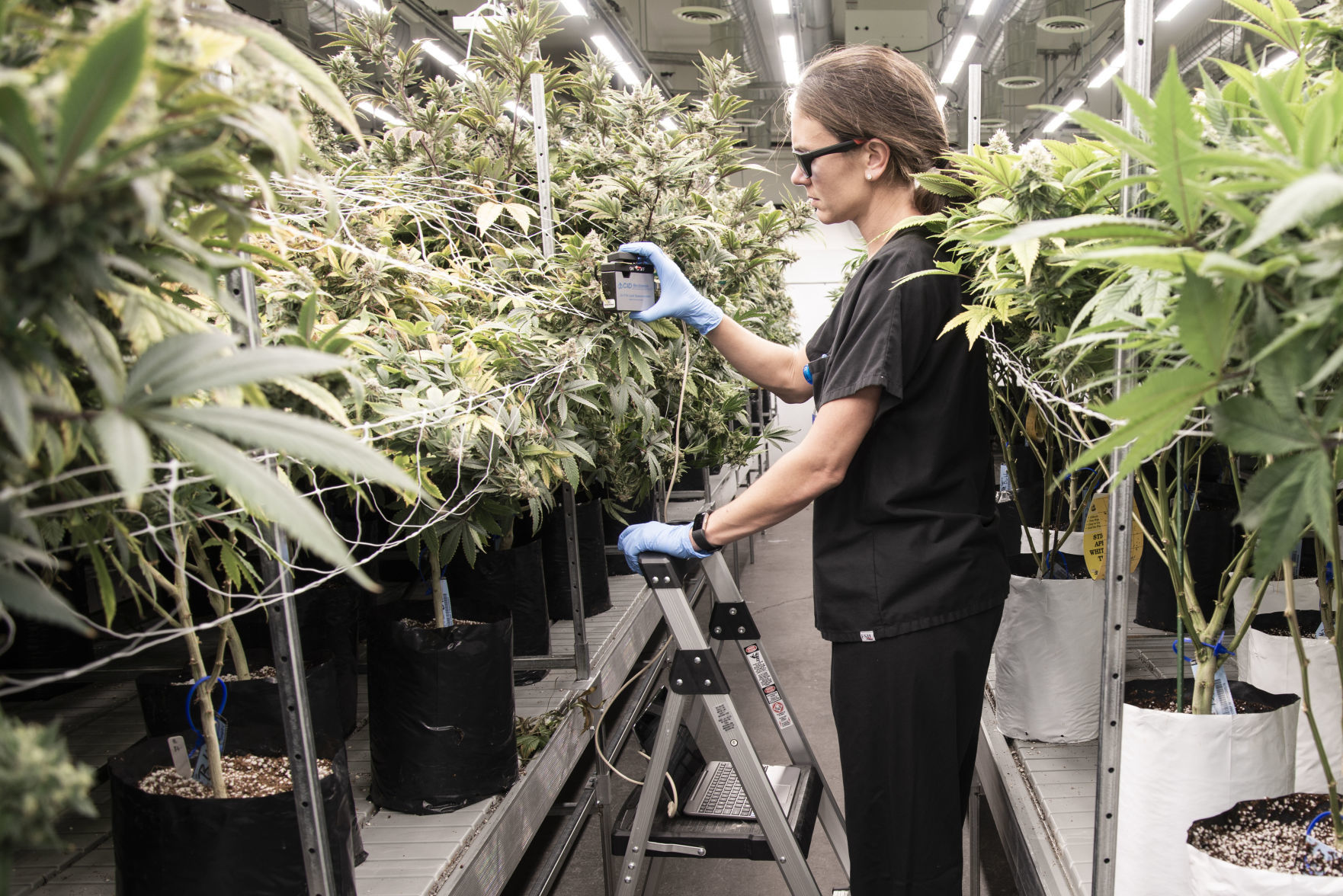 Rx Green Technologies